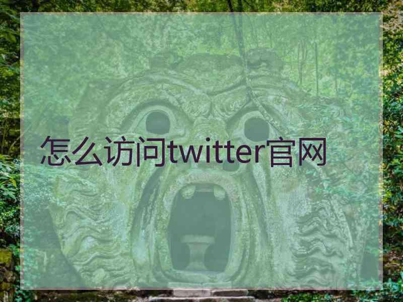 怎么访问twitter官网