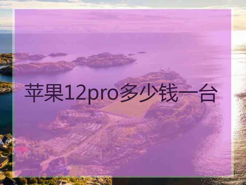 苹果12pro多少钱一台