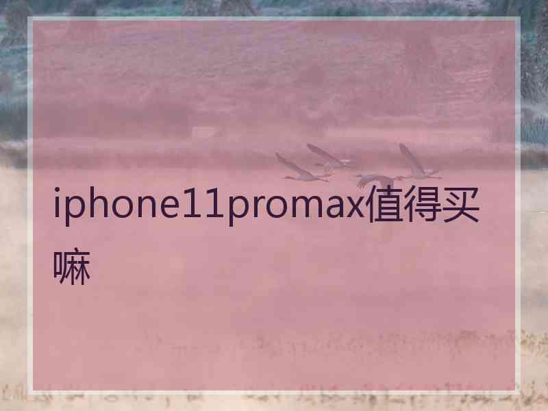 iphone11promax值得买嘛