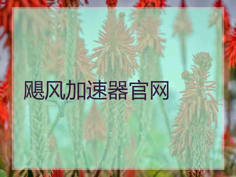 飓风加速器官网