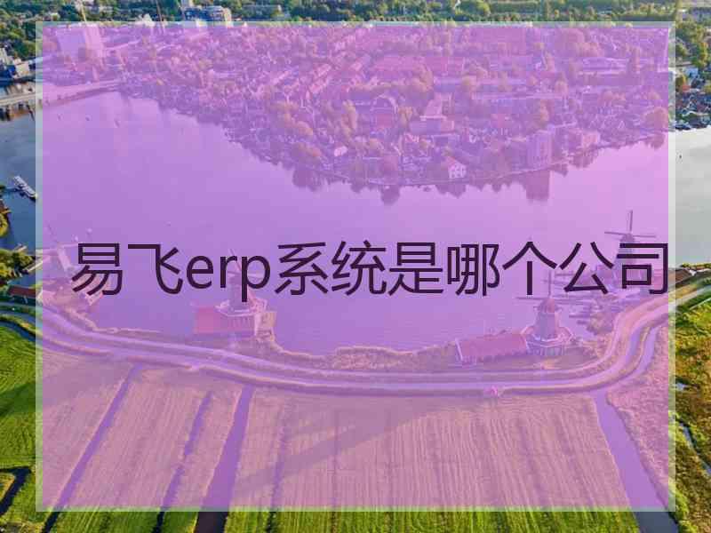 易飞erp系统是哪个公司