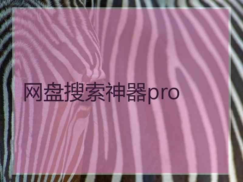 网盘搜索神器pro