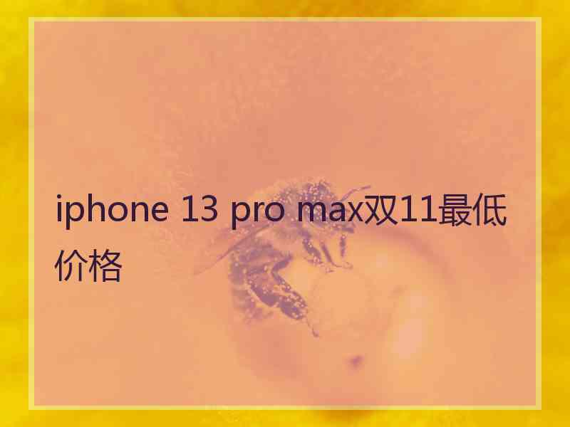 iphone 13 pro max双11最低价格