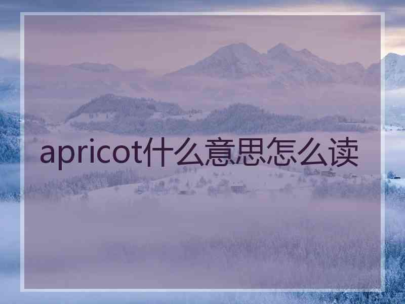 apricot什么意思怎么读