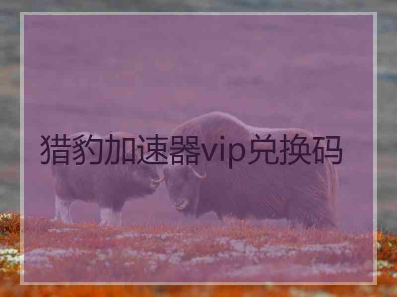 猎豹加速器vip兑换码