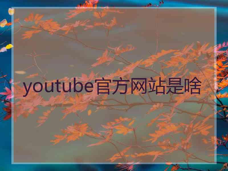 youtube官方网站是啥