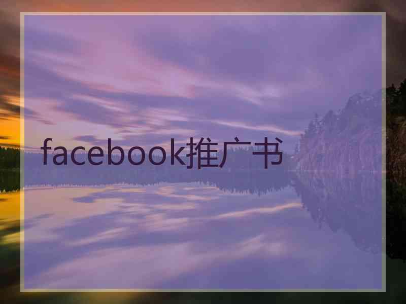 facebook推广书