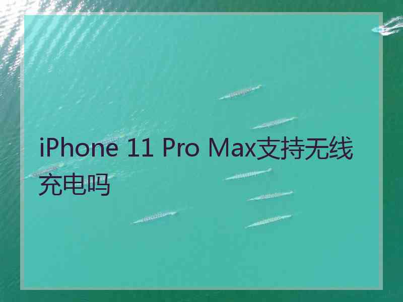 iPhone 11 Pro Max支持无线充电吗