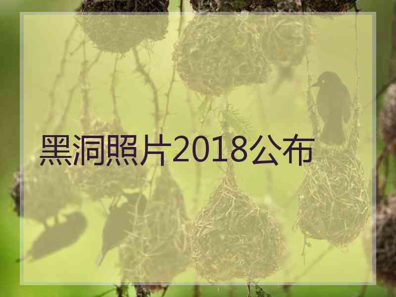 黑洞照片2018公布