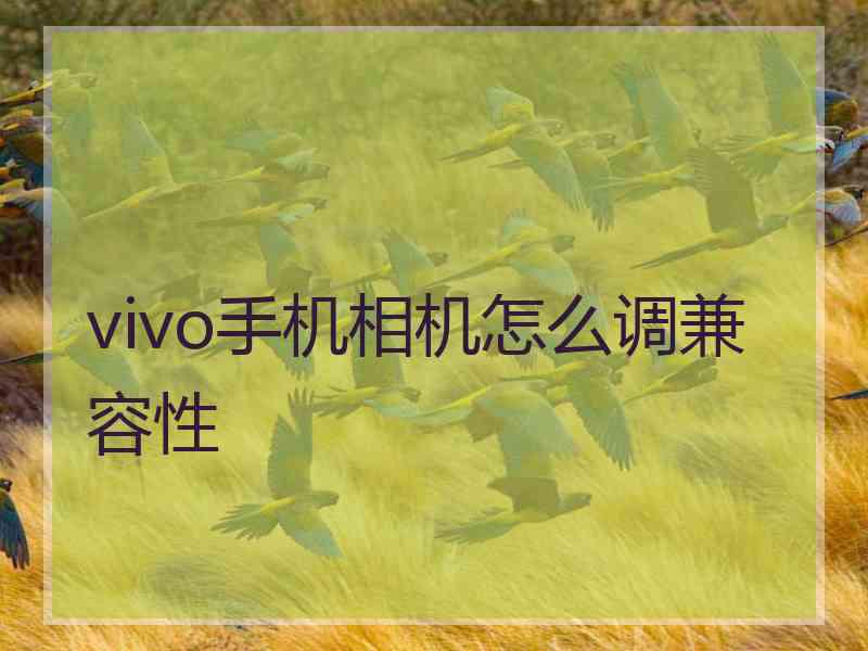 vivo手机相机怎么调兼容性