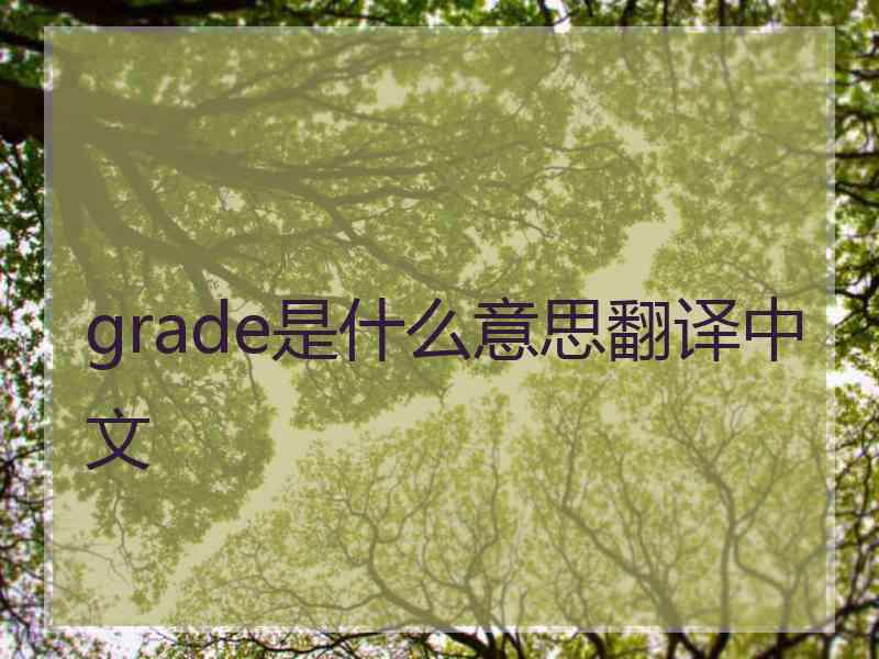 grade是什么意思翻译中文