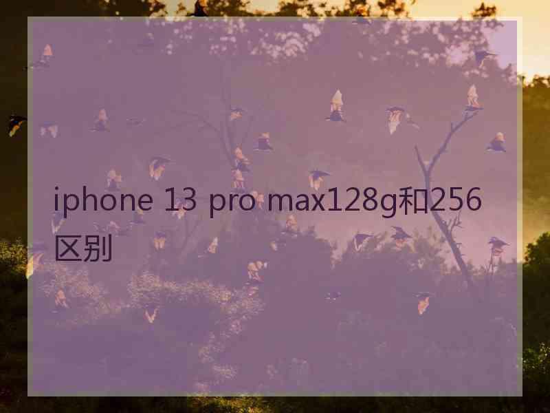 iphone 13 pro max128g和256区别