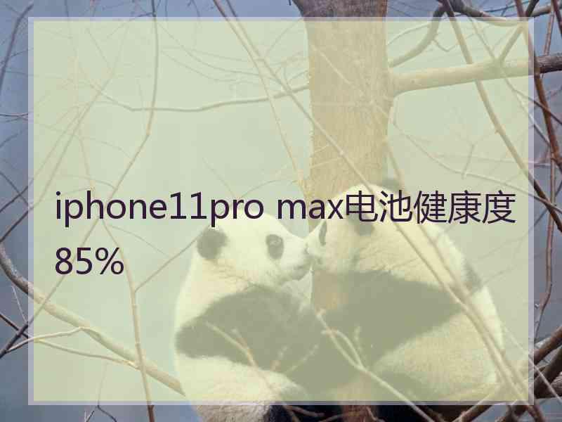 iphone11pro max电池健康度85%