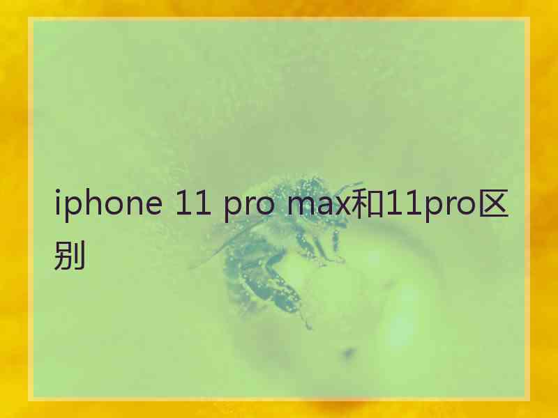 iphone 11 pro max和11pro区别