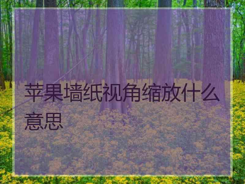 苹果墙纸视角缩放什么意思