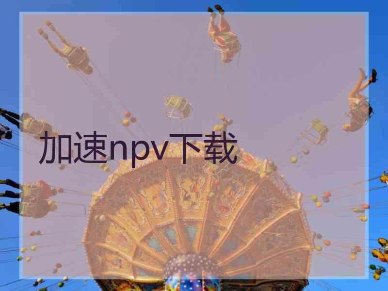 加速npv下载