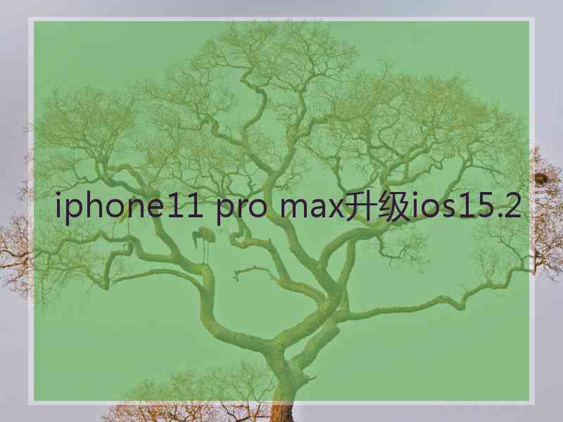 iphone11 pro max升级ios15.2