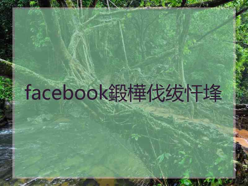 facebook鍛樺伐绂忓埄