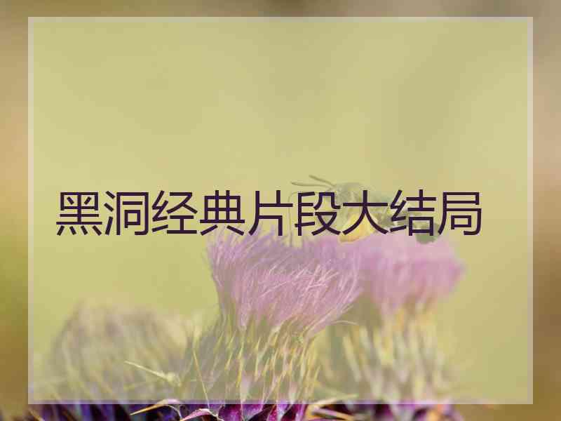 黑洞经典片段大结局