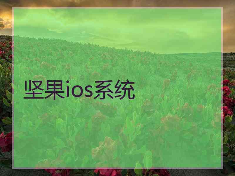 坚果ios系统