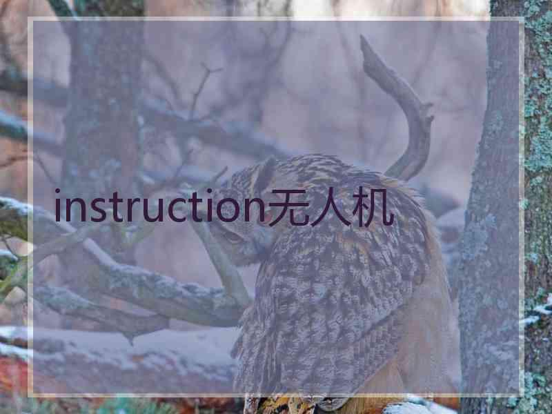 instruction无人机