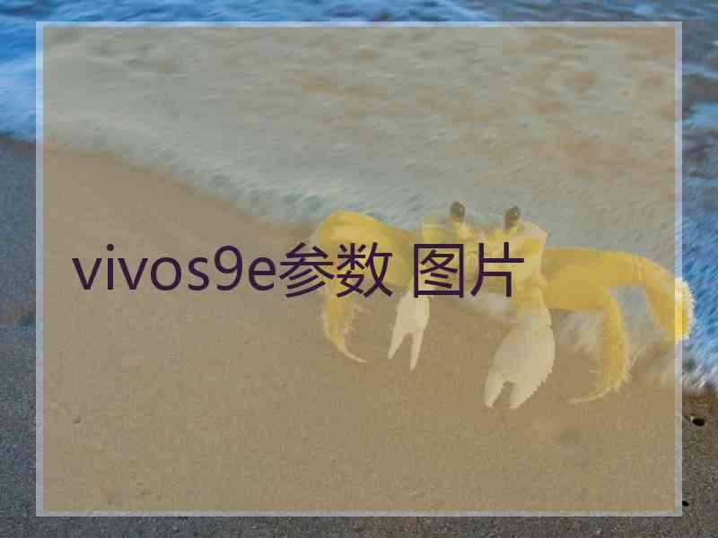 vivos9e参数 图片