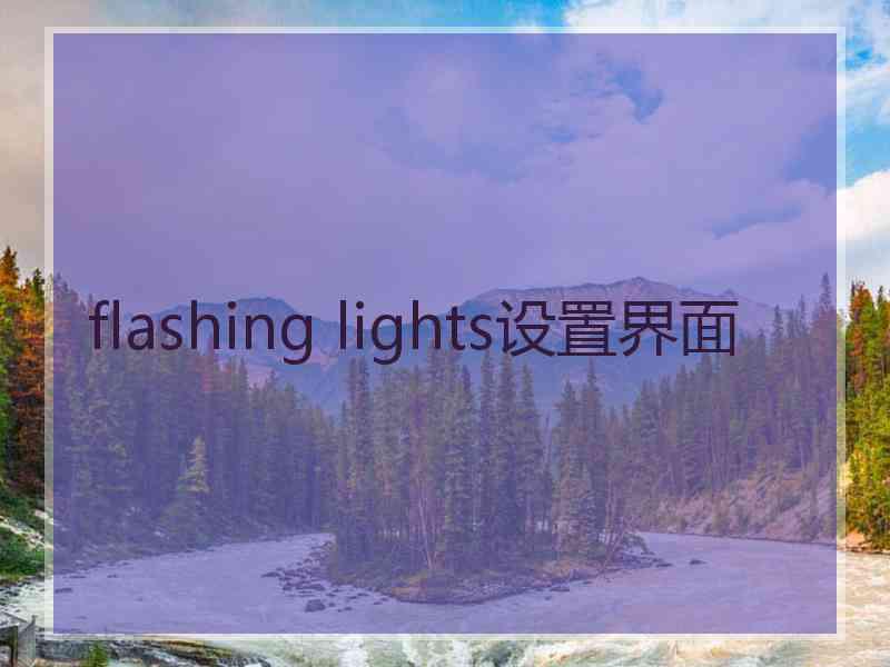 flashing lights设置界面