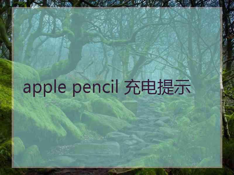 apple pencil 充电提示