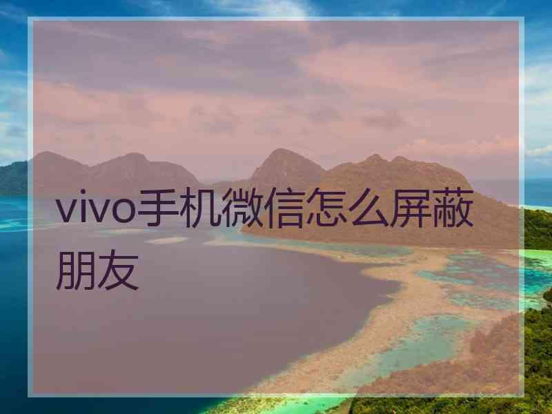 vivo手机微信怎么屏蔽朋友