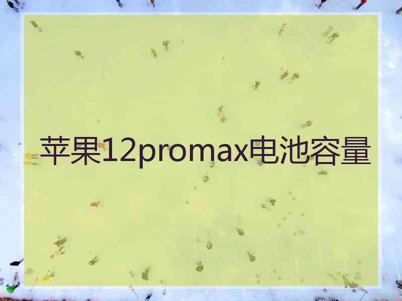 苹果12promax电池容量