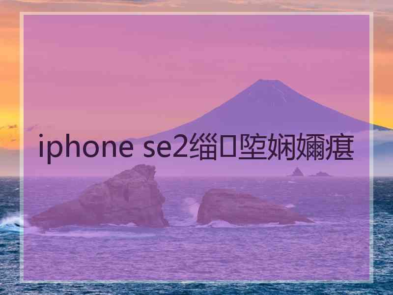 iphone se2缁埅娴嬭瘎