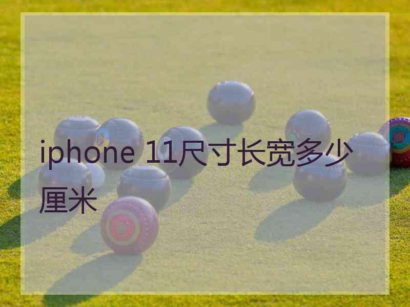 iphone 11尺寸长宽多少厘米