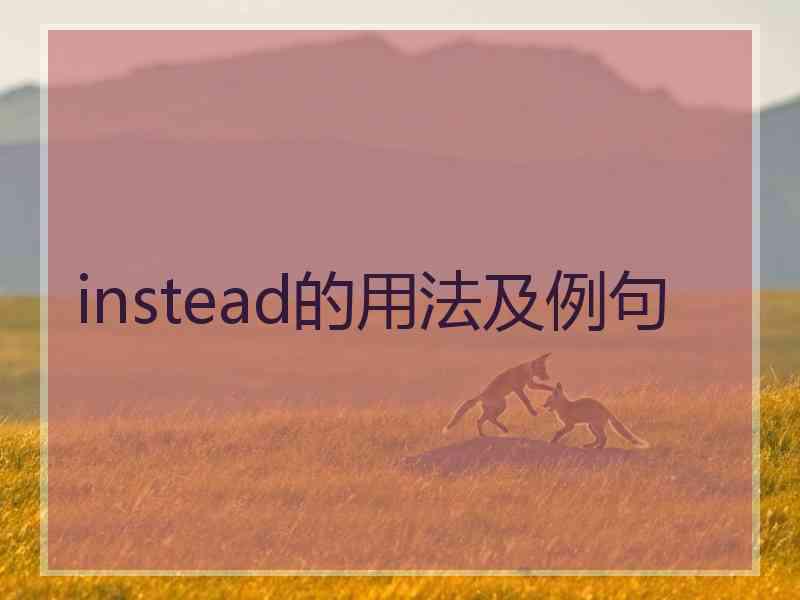 instead的用法及例句