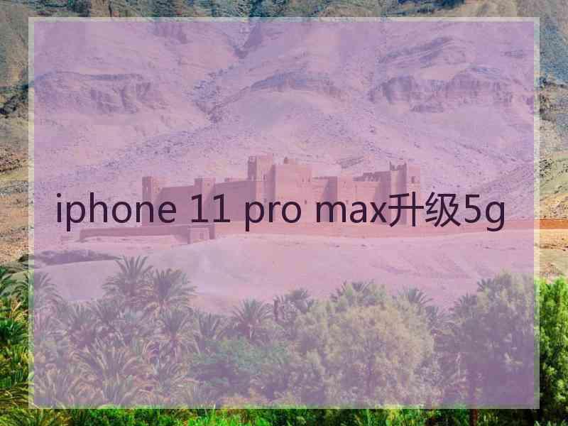 iphone 11 pro max升级5g