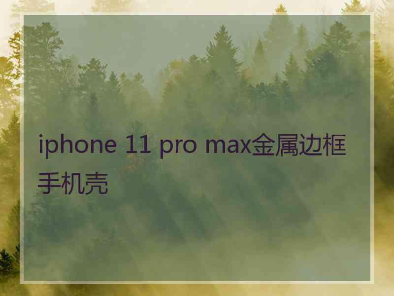 iphone 11 pro max金属边框手机壳