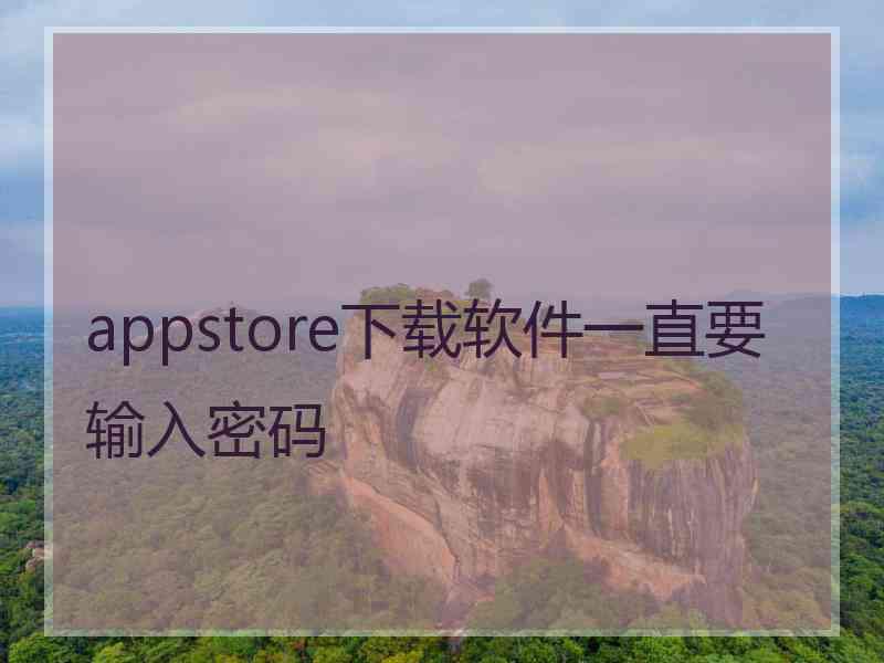 appstore下载软件一直要输入密码