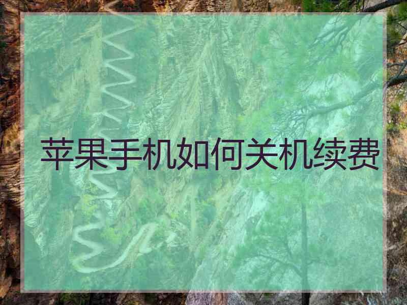 苹果手机如何关机续费