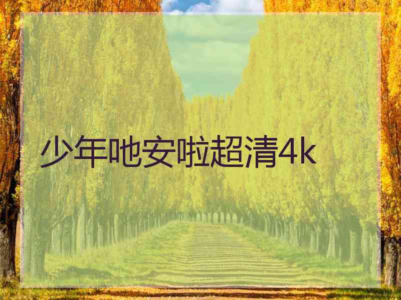 少年吔安啦超清4k