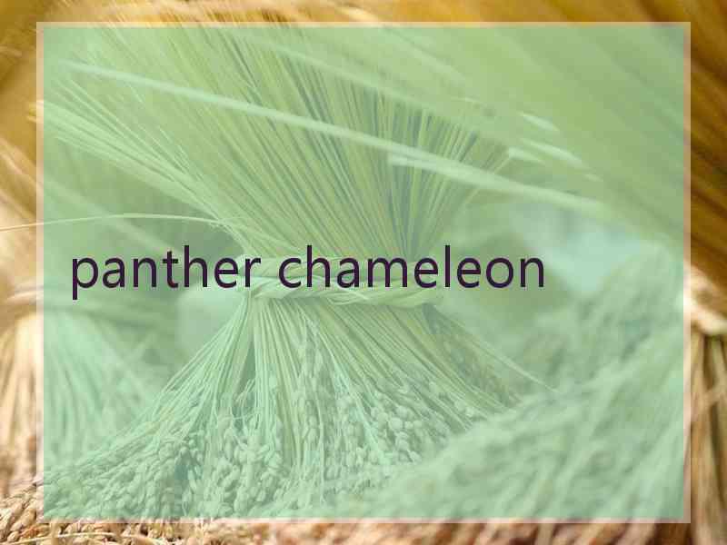 panther chameleon