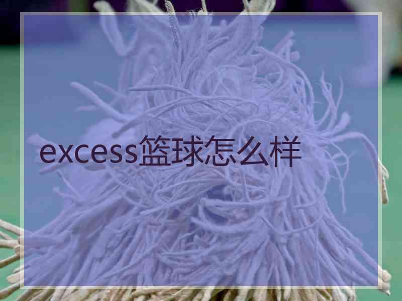 excess篮球怎么样