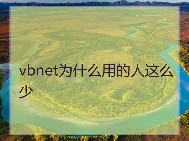 vbnet为什么用的人这么少