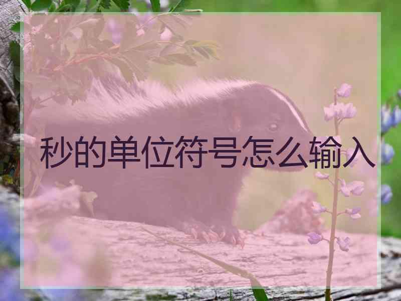 秒的单位符号怎么输入