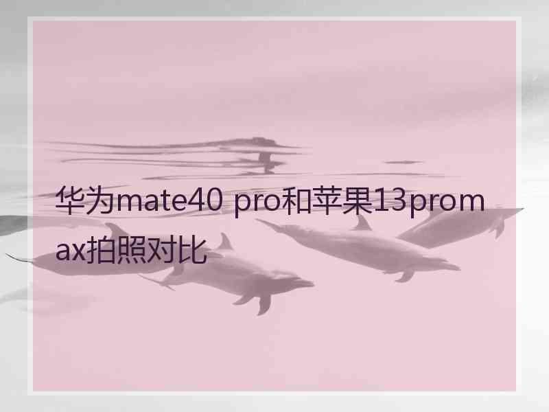 华为mate40 pro和苹果13promax拍照对比