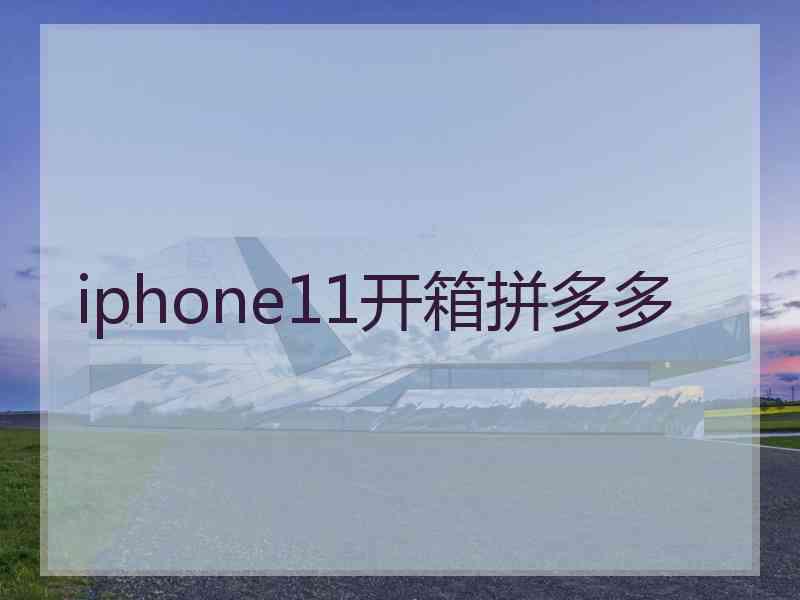 iphone11开箱拼多多