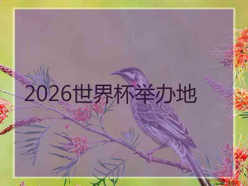 2026世界杯举办地