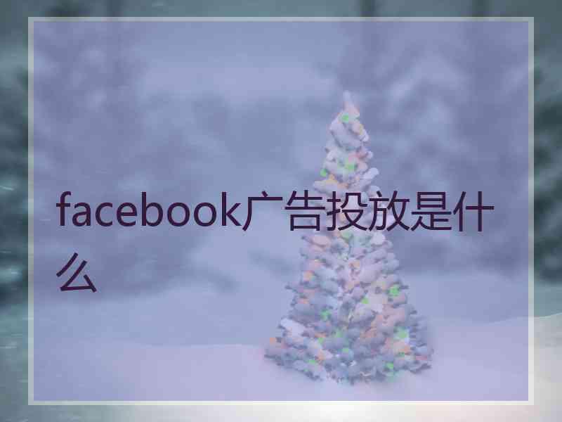 facebook广告投放是什么