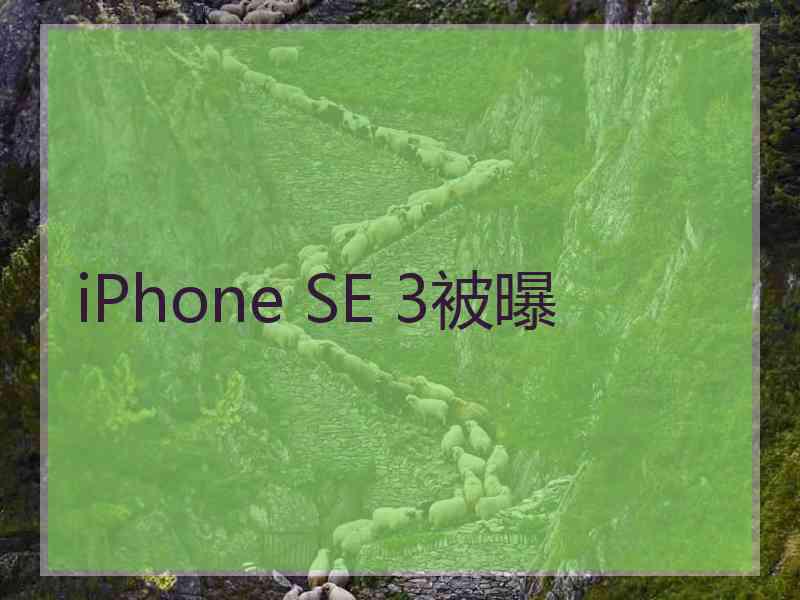 iPhone SE 3被曝