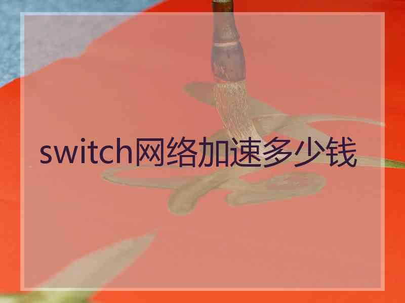 switch网络加速多少钱