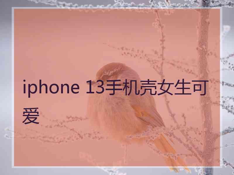 iphone 13手机壳女生可爱