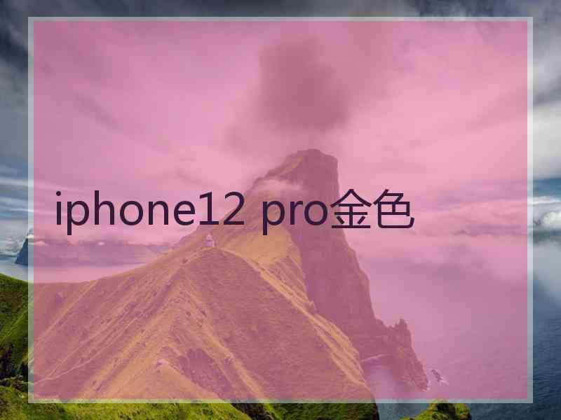 iphone12 pro金色